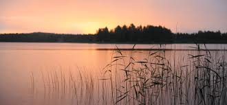 Lake Centralia